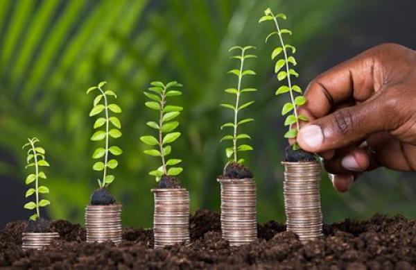 Savings Account